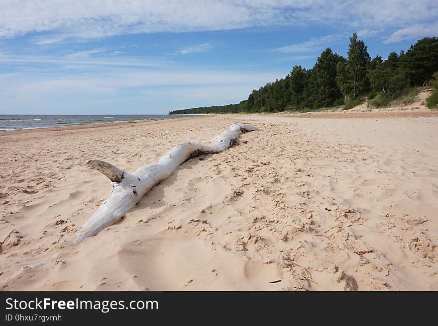 Beach, Body Of Water, Coastal And Oceanic Landforms, Shore