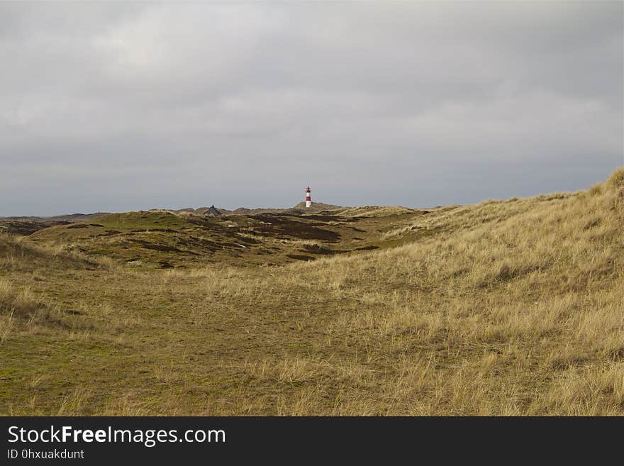 Sky, Grassland, Grass, Coast