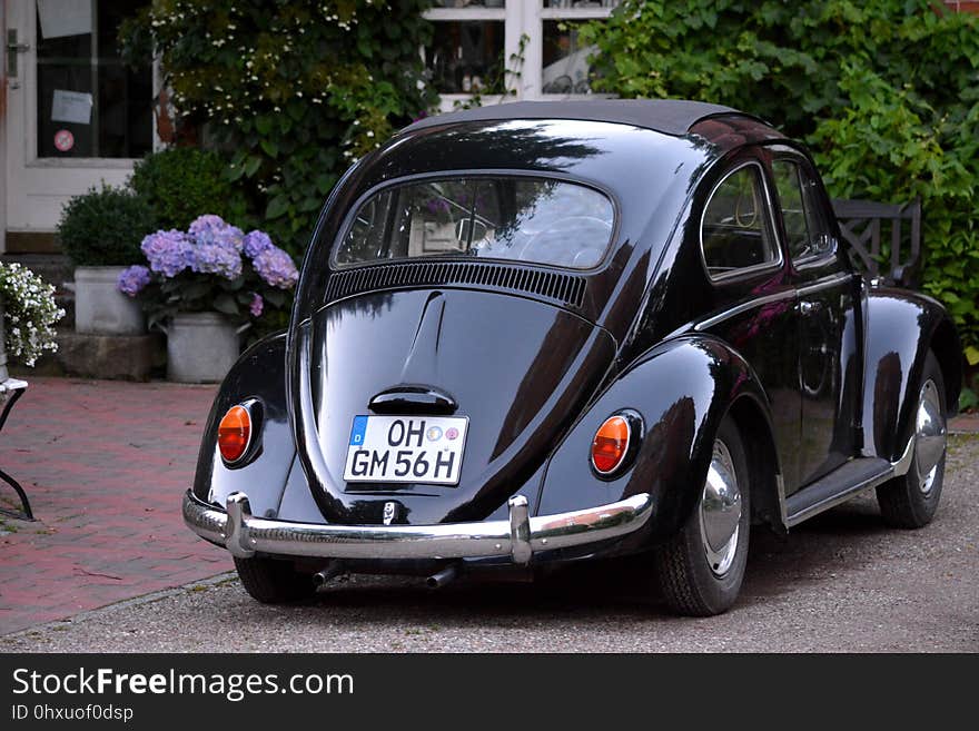 Car, Motor Vehicle, Vehicle, Volkswagen Beetle