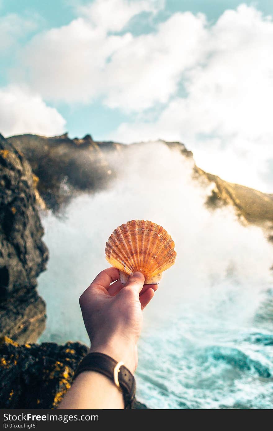 Sea, Body Of Water, Sky, Vacation