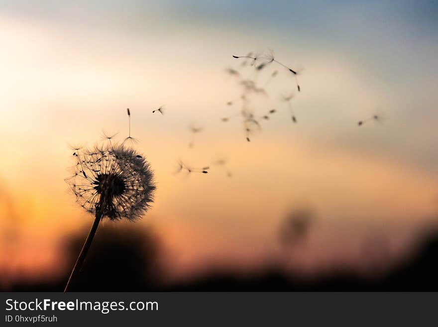 Sky, Morning, Atmosphere, Atmosphere Of Earth