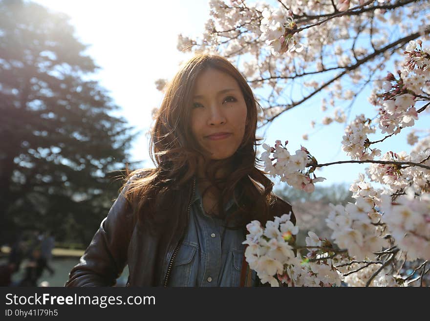 Flower, Tree, Plant, Girl