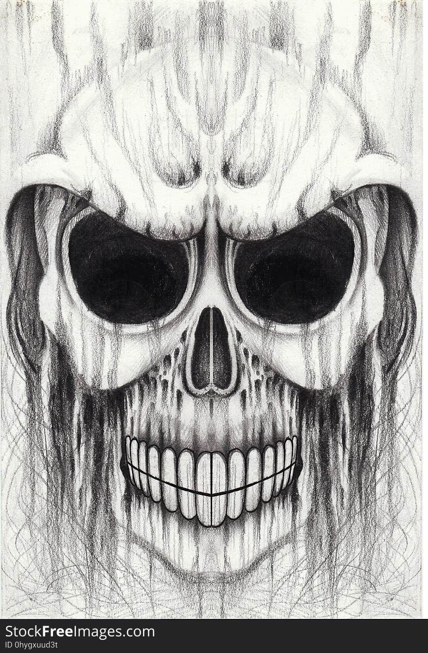 Art skull tattoo.