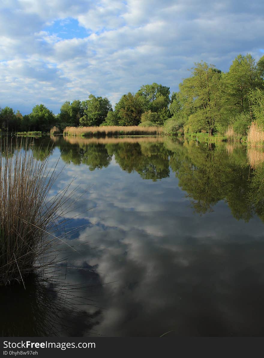 gestern, beim Weiher am Dorf... 😊 #ILoveNature 🐝🌞🌲 #thurgau #märwil #nofilter 😃 #publicdomain #CC0. ..gestern, beim Weiher am Dorf... 😊 #ILoveNature 🐝🌞🌲 #thurgau #märwil #nofilter 😃 #publicdomain #CC0