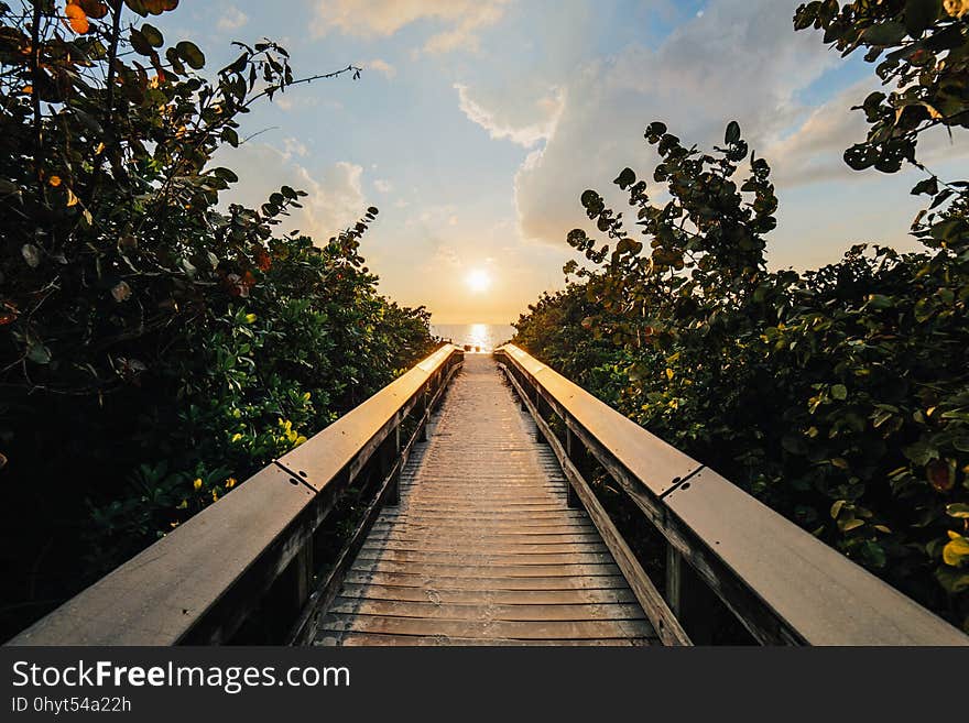 Backlit, Boardwalk, Clouds, Dawn