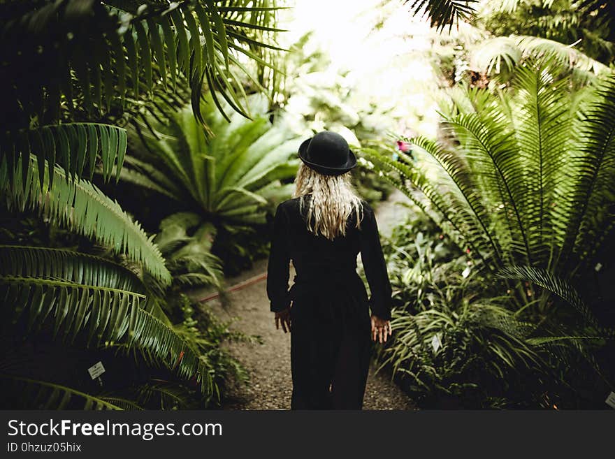 Back, View, Blonde, Blur