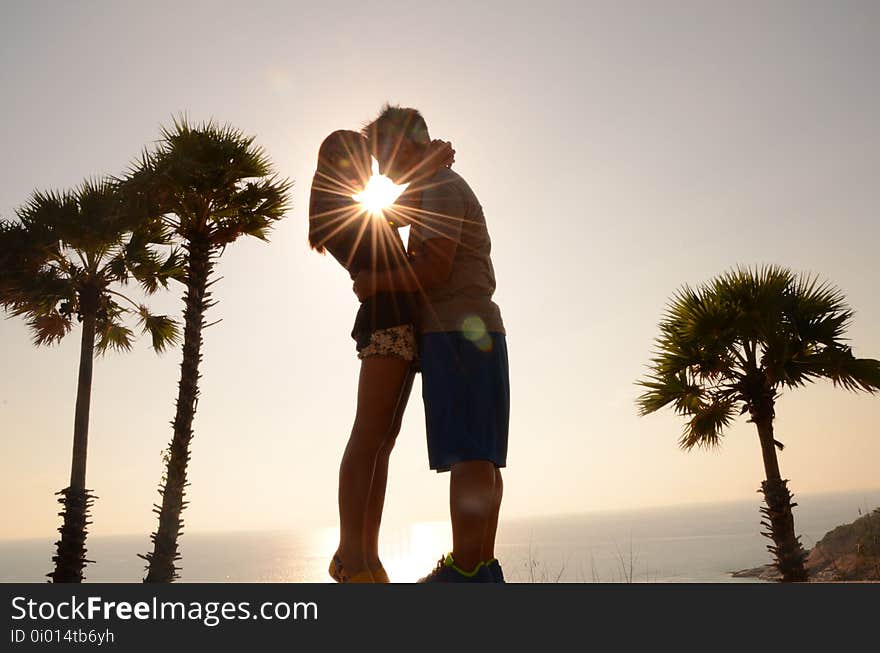 Sky, Sunlight, Tree, Vacation