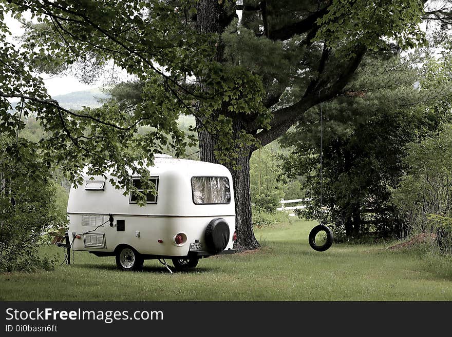 Camping by the Tree