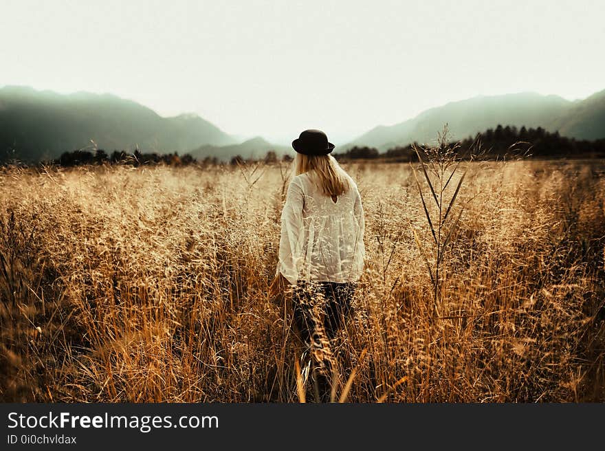 Agriculture, Beautiful, Country, Countryside