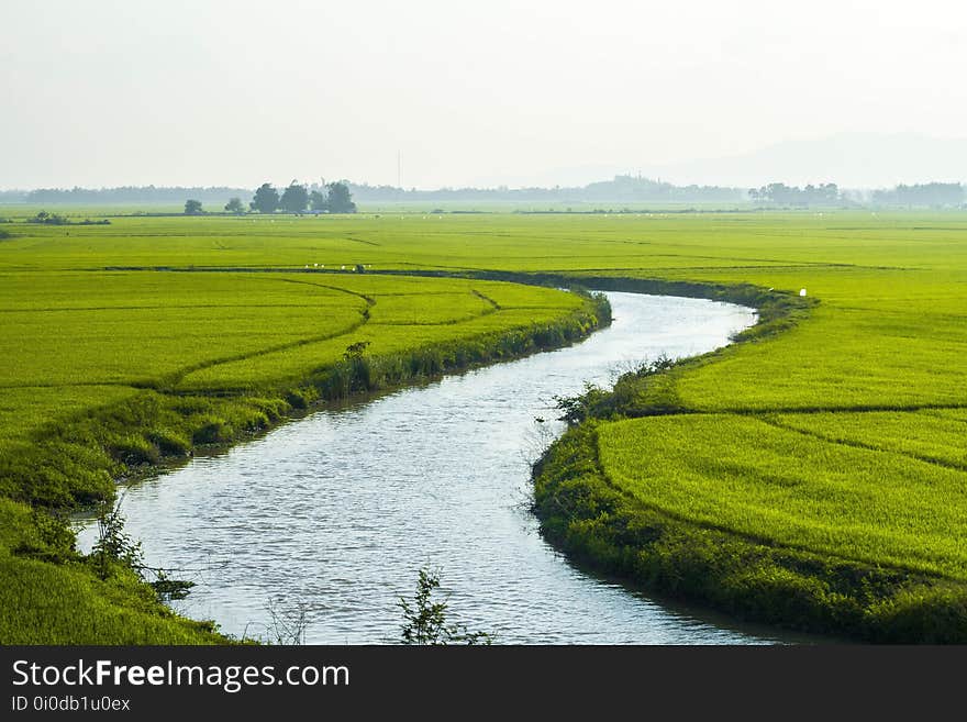 Grassland, Field, Water Resources, Plain