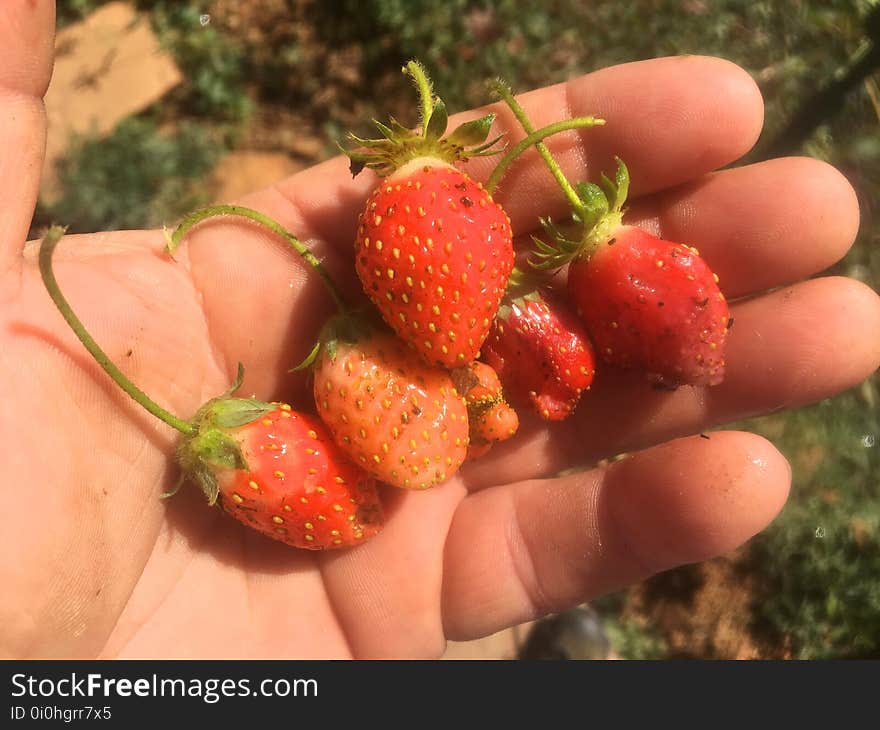 The garden still has more. The garden still has more.