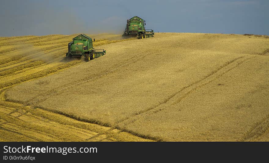 Agriculture, Cereal, Country, Countryside