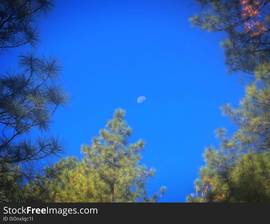 An Arizona Framed Moon