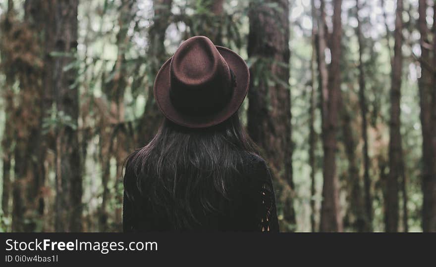 Tree, Forest, Woodland, Girl