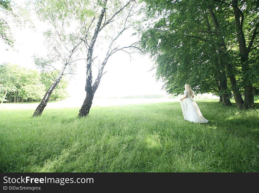 Blond, Country, Countryside, Daylight,