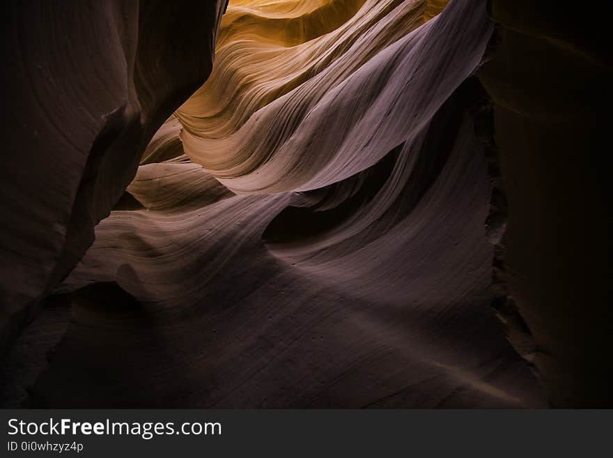 Light, Close Up, Darkness, Flower