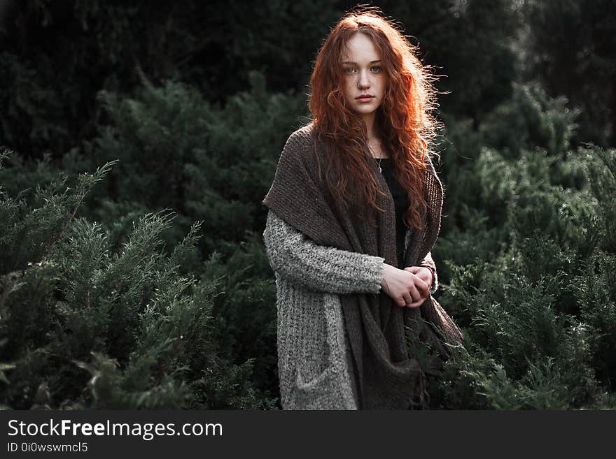 Beauty, Girl, Tree, Photography