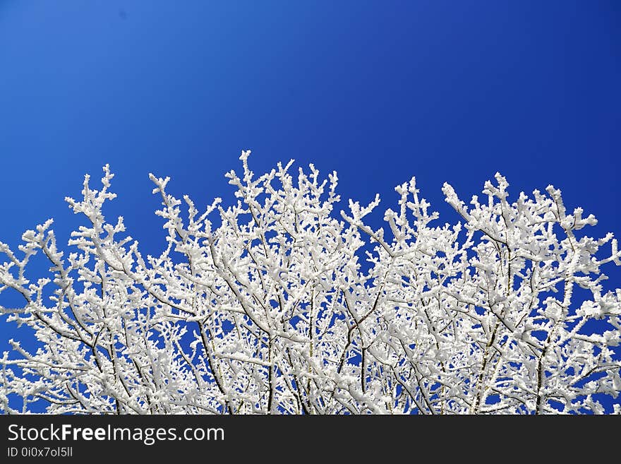 Blue, Winter, Frost, Sky