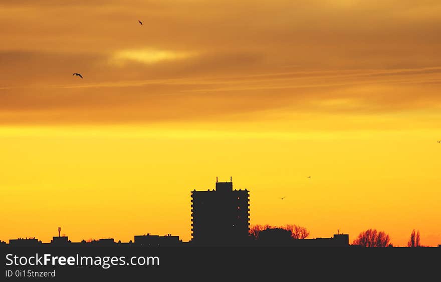 Sky, Skyline, Afterglow, Daytime