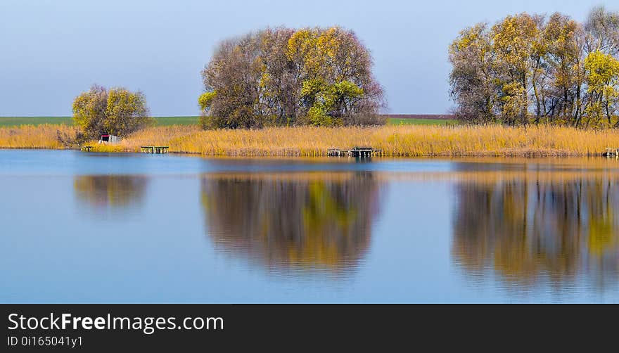 Reflection, Water, Nature, Wetland