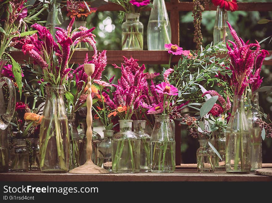 Cockscomb, Chinese Wool Flower and gerbera flowers in vase adorned in beautiful colors vintage used as background text.