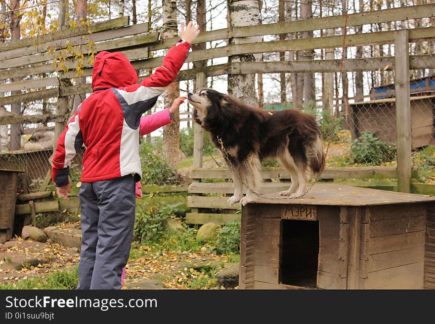 People with a dog in a kennel. People with a dog in a kennel.