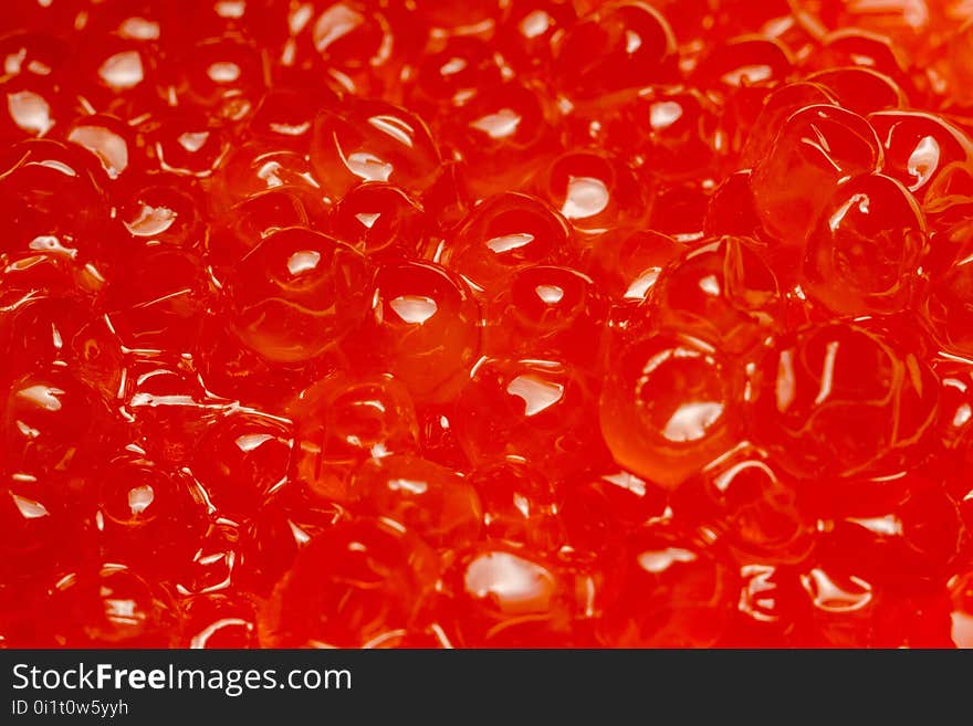 Red Caviar Macro