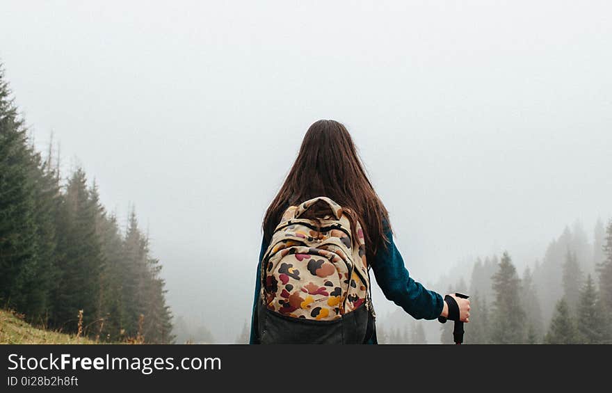 Back, View, Backpack