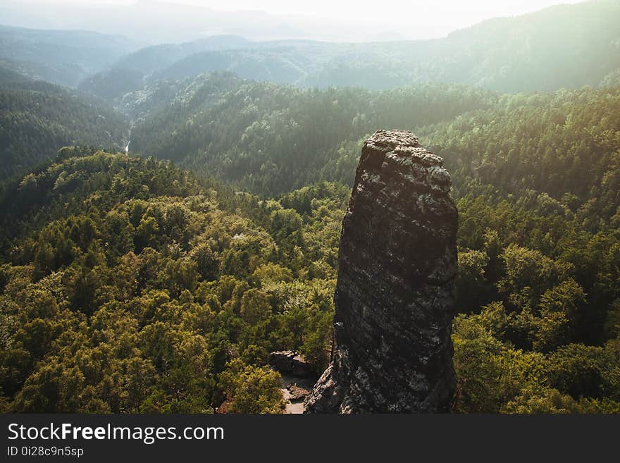 Daylight, Fog, Foggy, Landscape