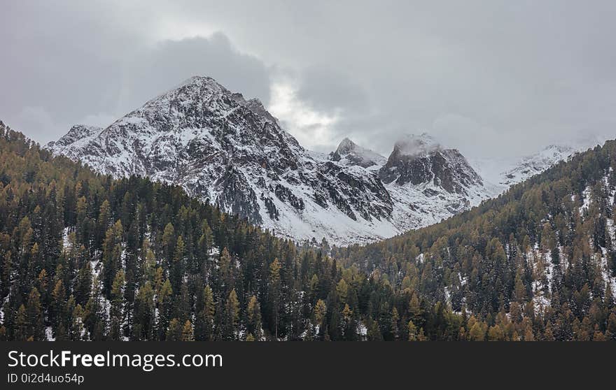 Mountainous Landforms, Mountain, Wilderness, Tree