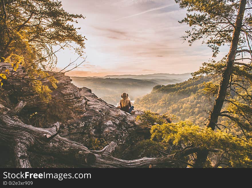 Nature, Tree, Wilderness, Mountainous Landforms