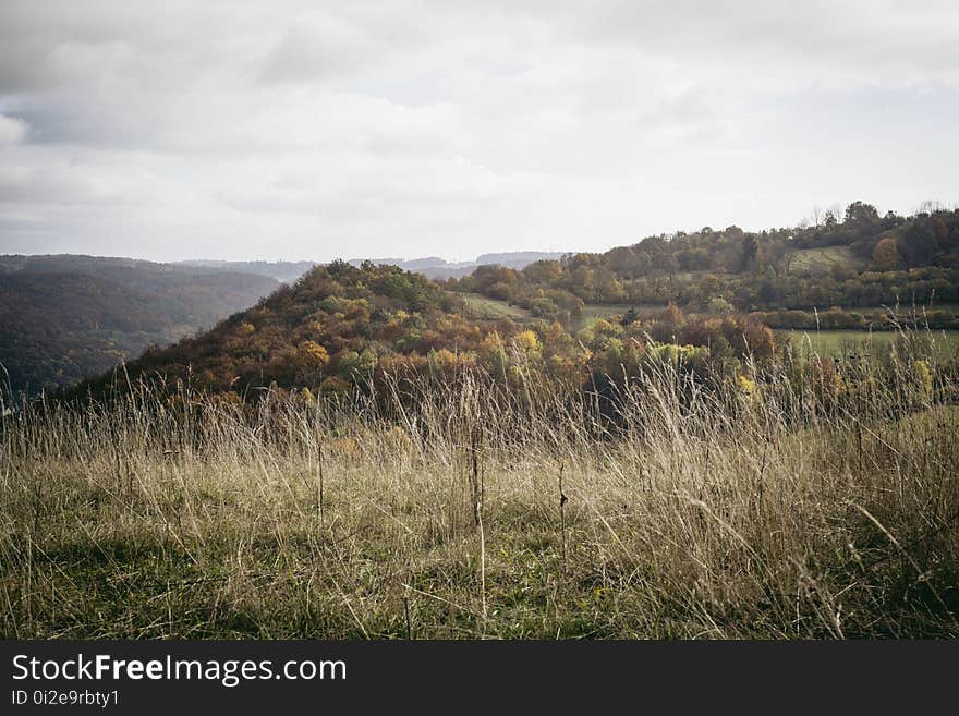 Sky, Hill, Highland, Grass