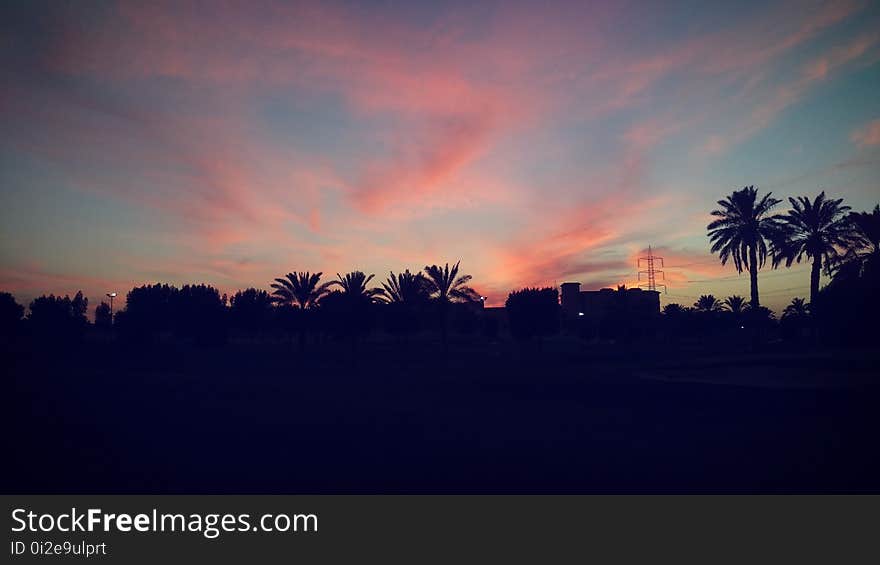 Sky, Afterglow, Dawn, Red Sky At Morning