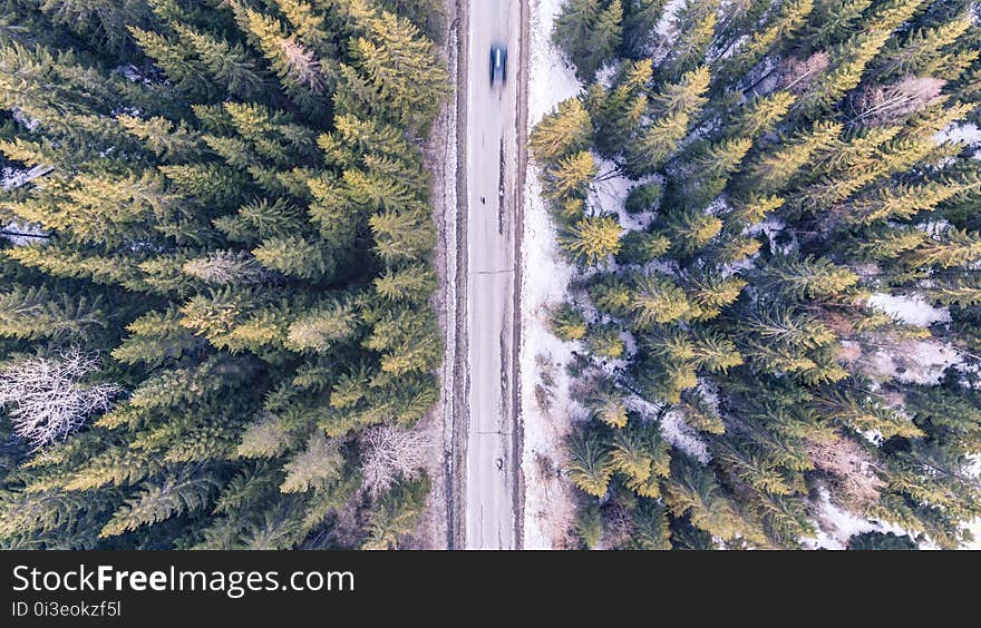 Aerial, Automobile, Bird&#x27;s, Eye