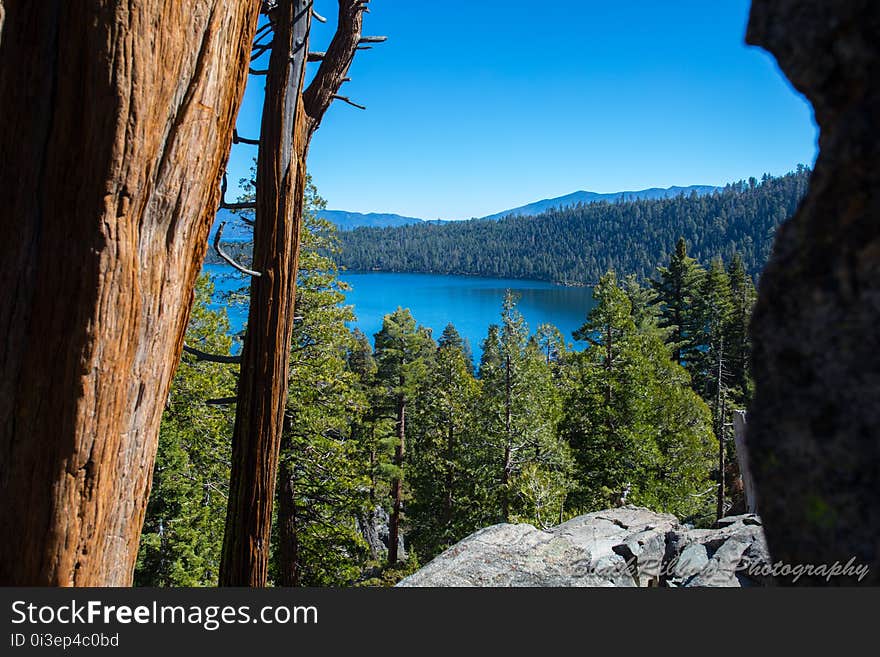 Water, Sky, Plant, Mountain, Azure, Natural landscape