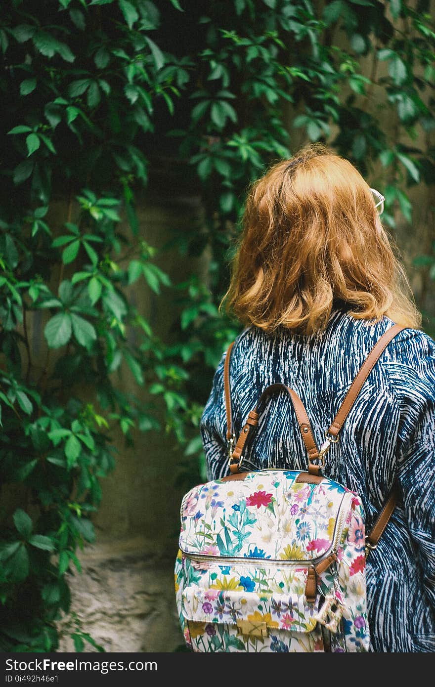 Atmosphere, Back, View, Backpack,