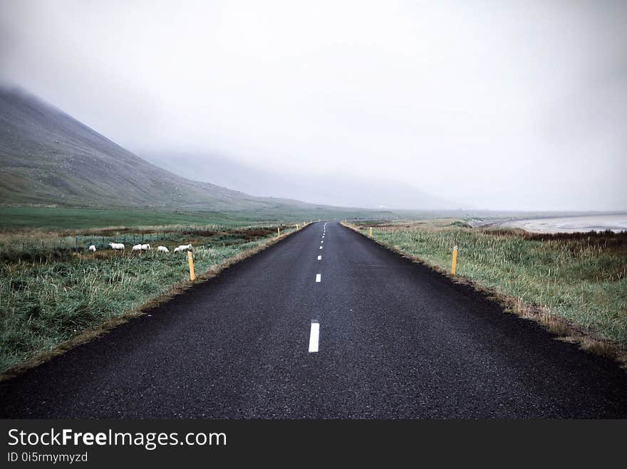 Adventure, Asphalt, Autumn, Calmness,