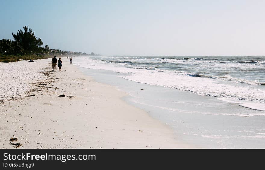 Beach, Horizon, Nature, Ocean