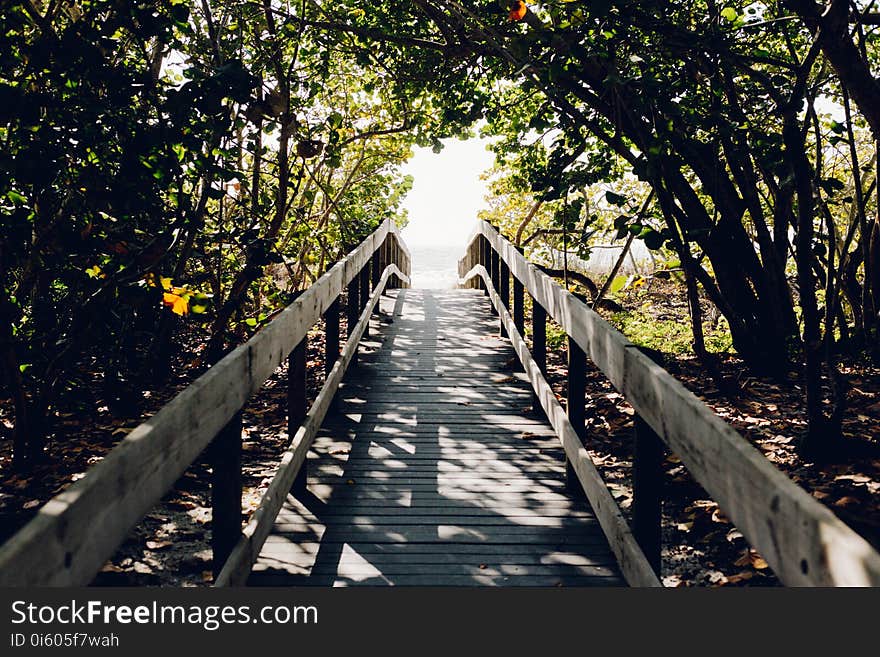 Beach, Boardwalk, Bridge, Daylight