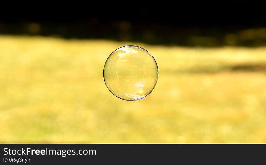 Yellow, Grass, Close Up, Atmosphere