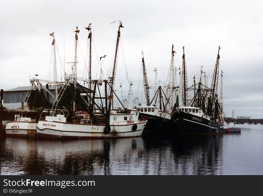 Boats, Fishing, Boat, Harbor