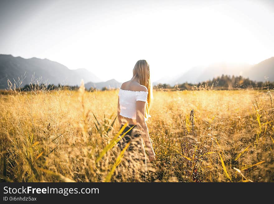 Agriculture, Countryside, Crop, Cropland