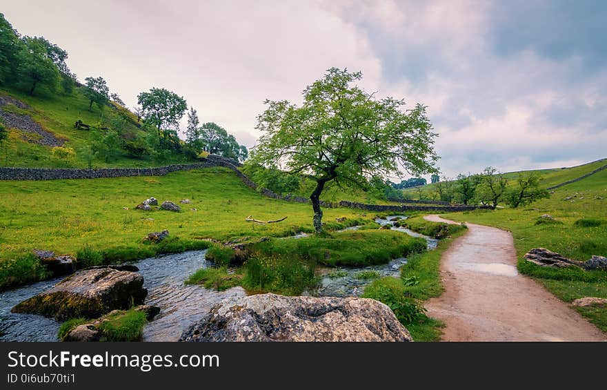 Nature, Vegetation, Nature Reserve, Mountainous Landforms