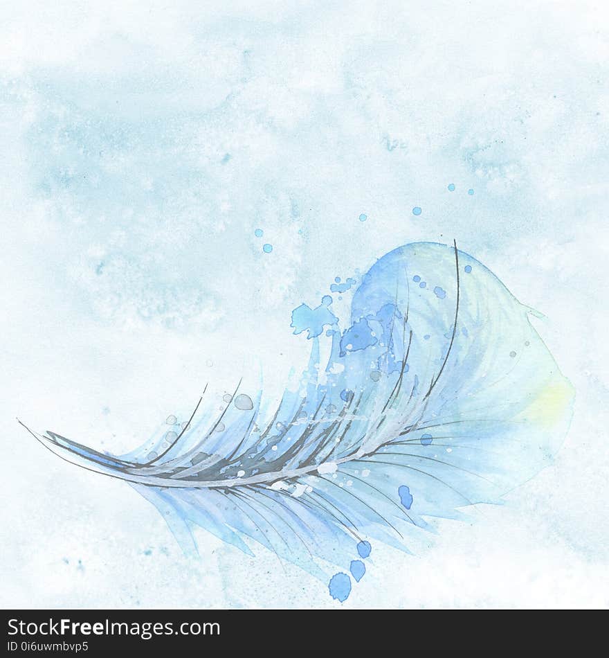 Water, Sky, Feather, Wave