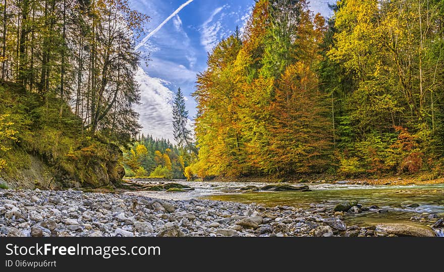 Nature, Ecosystem, Nature Reserve, Wilderness