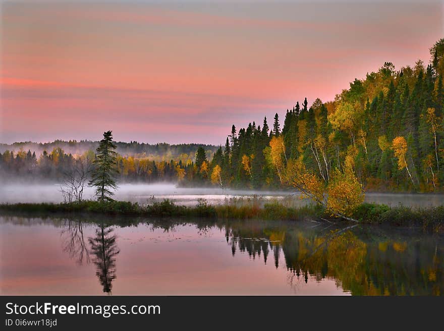 Reflection, Nature, Water, Sky