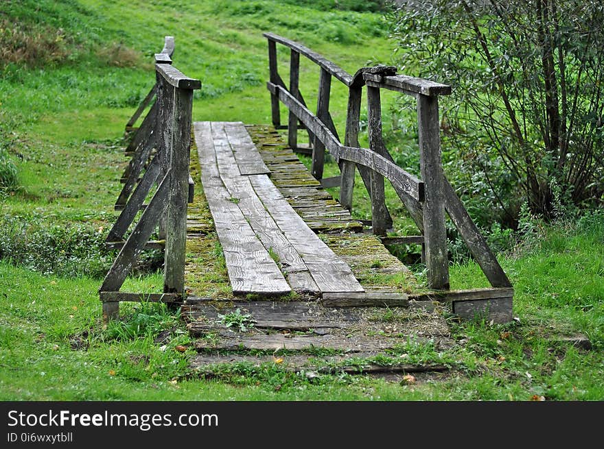 Nature Reserve, Path, Tree, Woodland