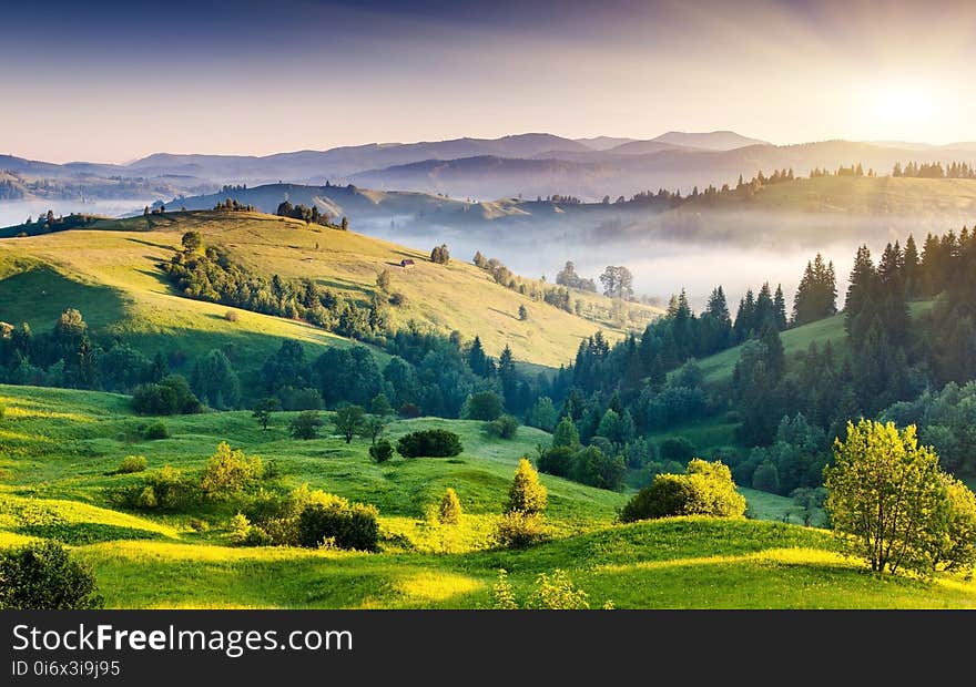 Nature, Grassland, Highland, Wilderness