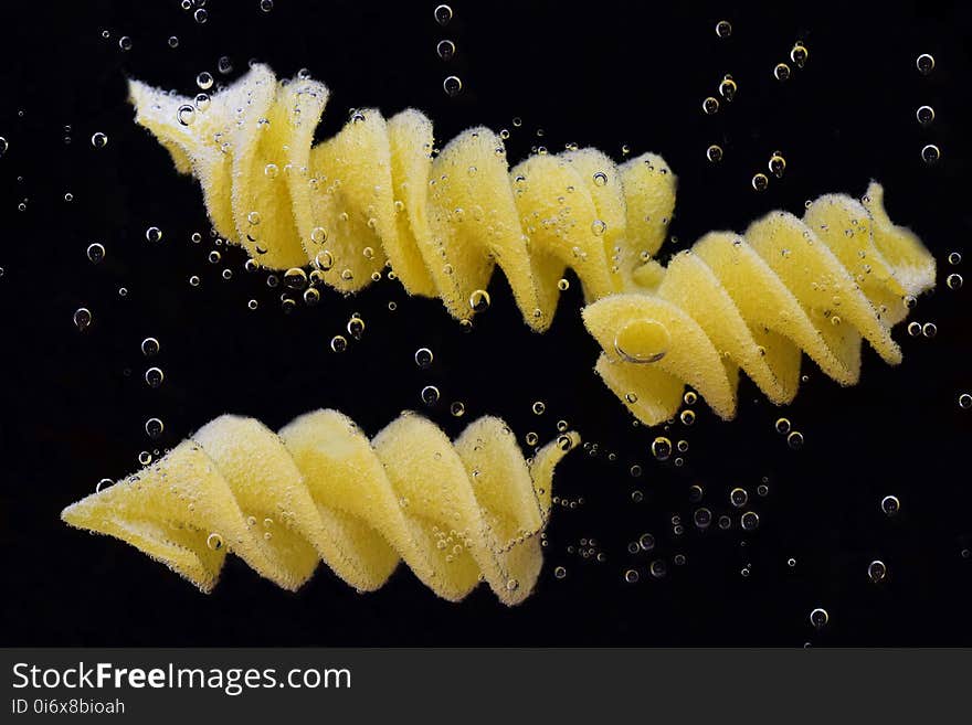 Yellow, Organism, Invertebrate, Membrane Winged Insect