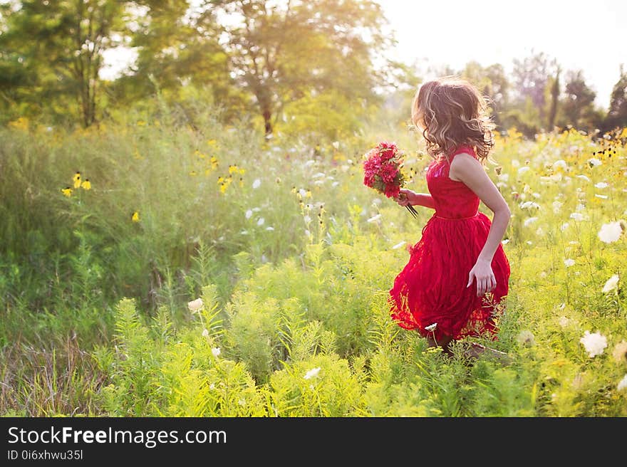 Flower, Photograph, Nature, Yellow